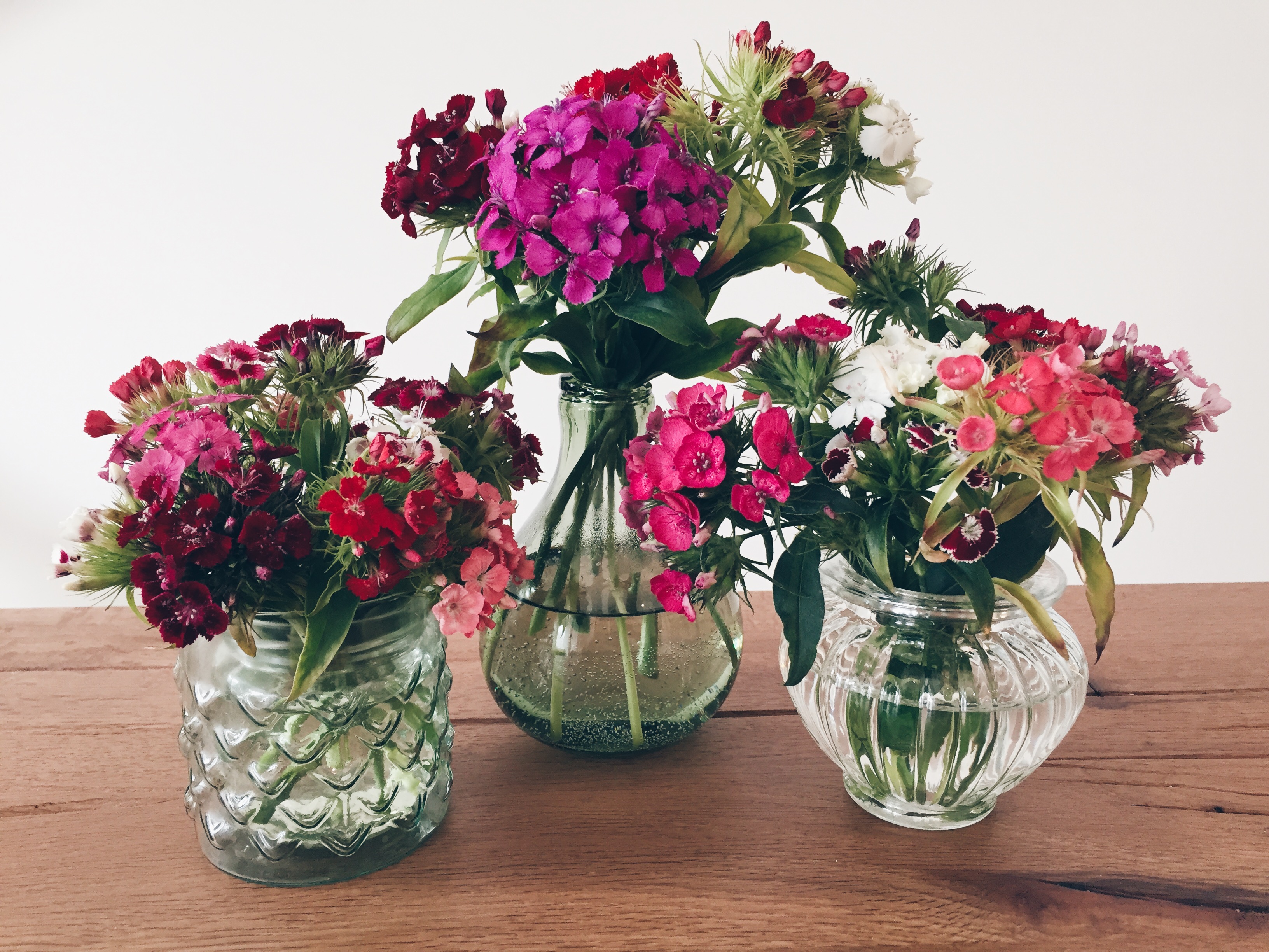Trend Vasen – Blumen in Szene setzen